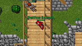 Delfmo Sazosh on screen
