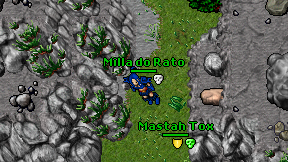 Milla do Rato on screen