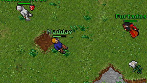 Maddav on screen