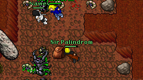 Sir Palindrom on screen