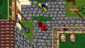 Sir'Ziomek on screen