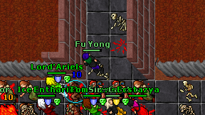 Fu Yong on screen