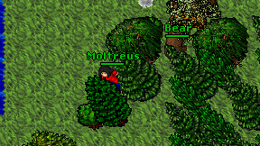 Moltreus on screen