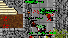 Piolho'Dreds on screen