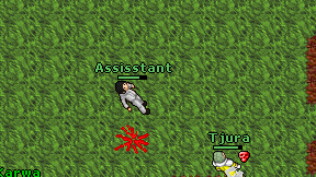 Assisstant on screen