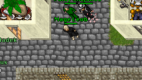 Mage Leob on screen