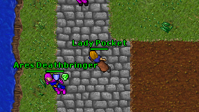 Lady Pocket on screen
