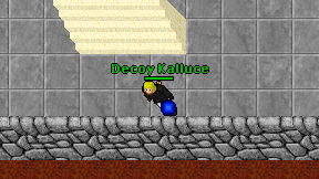 Decoy Kalluce on screen