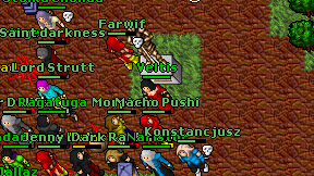 Veltis on screen