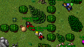 Nerd Nid on screen
