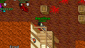Amyllex on screen