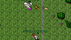 Ninja of Demon on screen