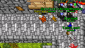 Nerayan on screen