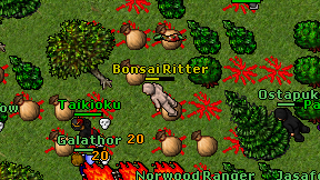 Bonsai Ritter on screen