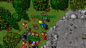 Luda Hornet on screen