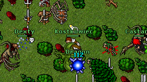 Kostkowiec on screen