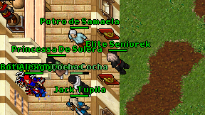 Elite Seniorek on screen