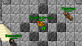 Porkis Druid on screen
