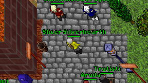 Slicer Silverhearth on screen