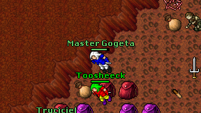 Master Gogeta on screen