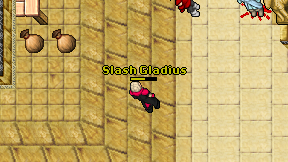 Slash Gladius on screen