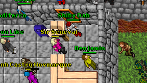 Sir Seneval on screen