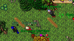 Cook man on screen