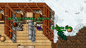 Naka Angels on screen