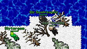 Sir Soulreaver on screen