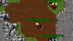 Michu Hunter on screen