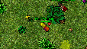 Ehl'Weirdo on screen