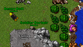 Soldier Borimir on screen