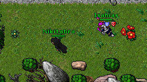 Nikitabra on screen