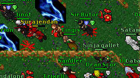 Tingis on screen