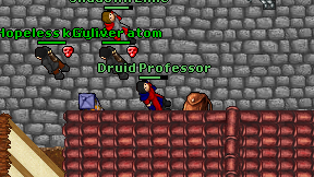 Druid Professor on screen