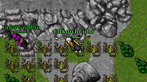 Edson Bruto on screen