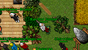 Kardor Junior on screen