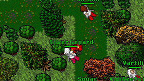 Silver Gepard on screen