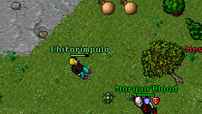 Chiforimpulo on screen