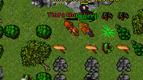 Imperp on screen