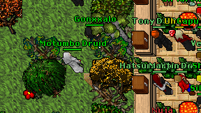 Motumbo Druid on screen