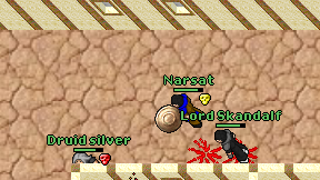 Narsat on screen