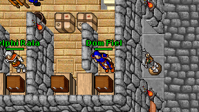 Dom Fiel on screen