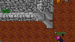 Naltr on screen