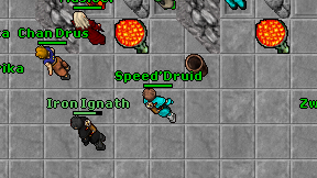 Speed'Druid on screen