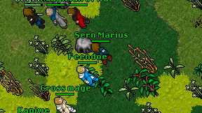 Feendoe on screen