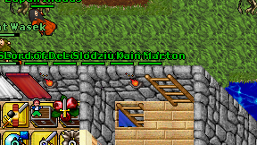 Kain Marton on screen