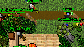 Guard of Temple on screen