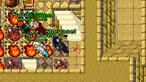 Shevanel on screen