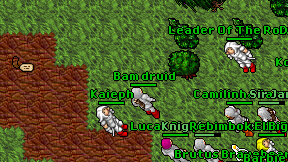 Bam druid on screen
